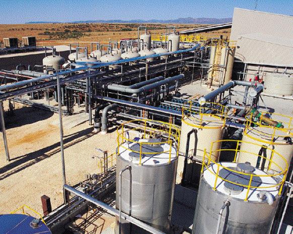 Beverley Plant Beverley Plant