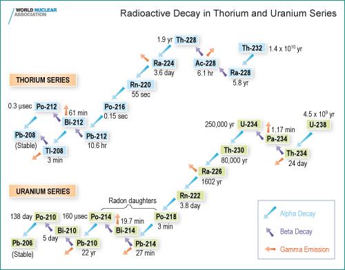 Radioactive Decay in Thorium and Uranium Series